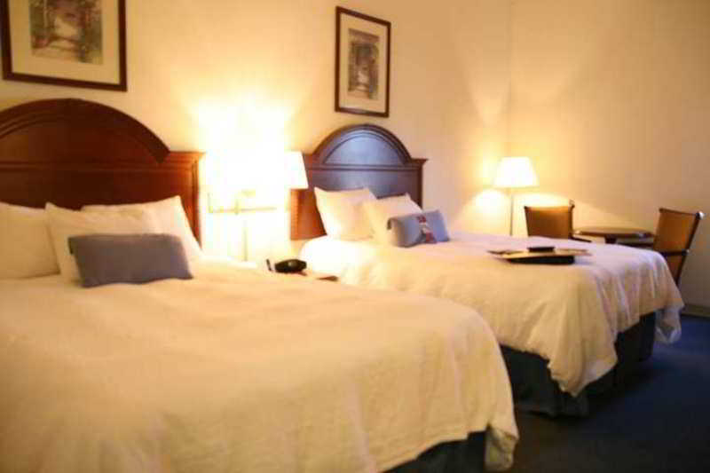 Hampton Inn & Suites Tarpon Springs Quarto foto